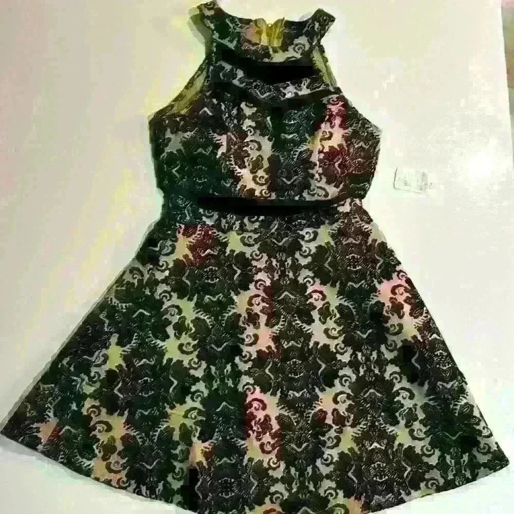 NWT Windsor black and tan velvet floral dress. Sheer Top and Middle. Si…